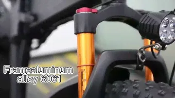 500W BAFANG mid motor mid drive Ebike--Ebike manufactuer in China