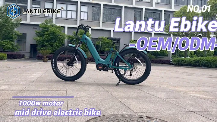 China OEM electric bike with 1000w mid drive motor
