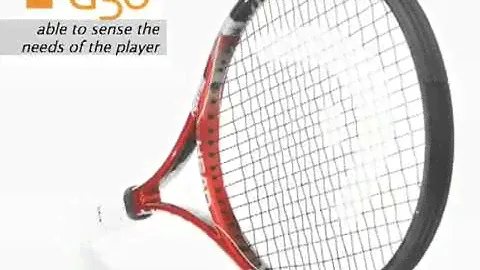 Head Youtek Prestige - Hector Tenis